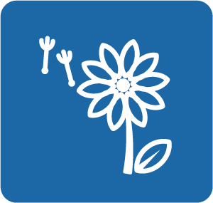 濕疹成因 空氣中過敏原